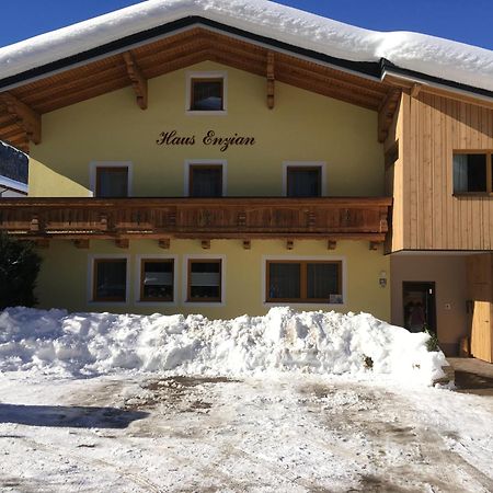 Appartement - Vollholz Studio Im Zentrum Von Flachau Exteriör bild