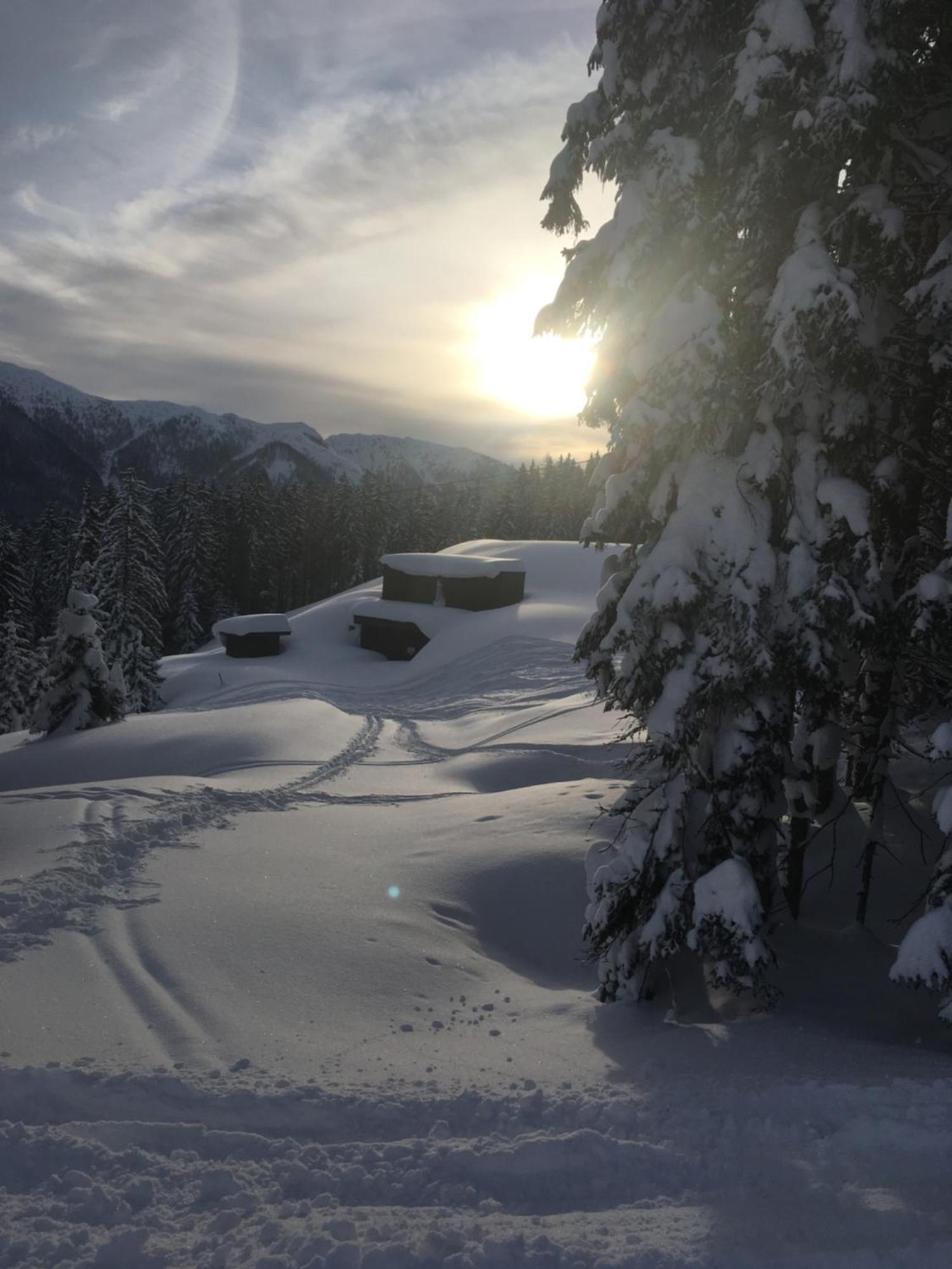 Appartement - Vollholz Studio Im Zentrum Von Flachau Exteriör bild