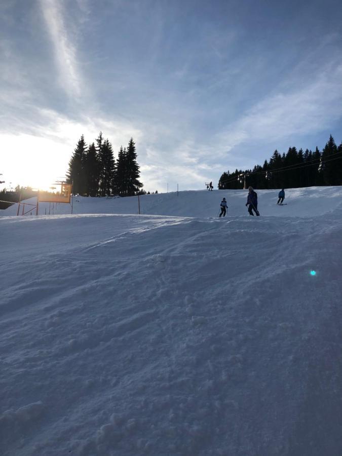 Appartement - Vollholz Studio Im Zentrum Von Flachau Exteriör bild